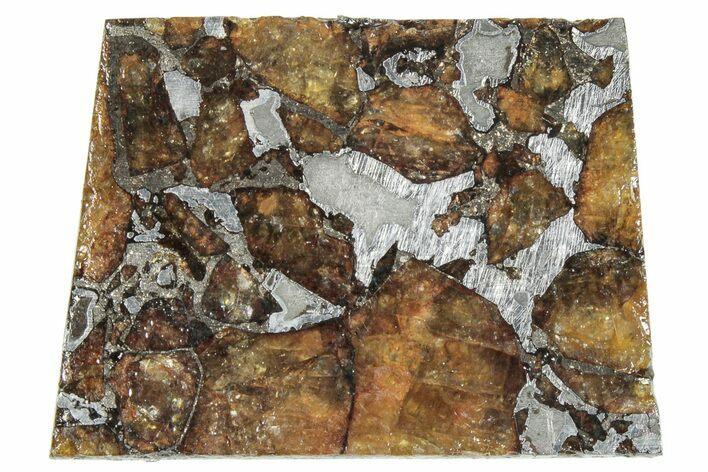 Brahin Pallasite Meteorite ( g) Slice - Belarus #291302